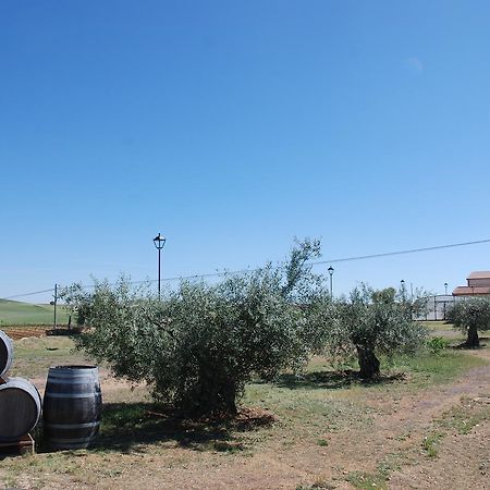 Casa Rural Teso De La Encina Villamor de los Escuderos エクステリア 写真