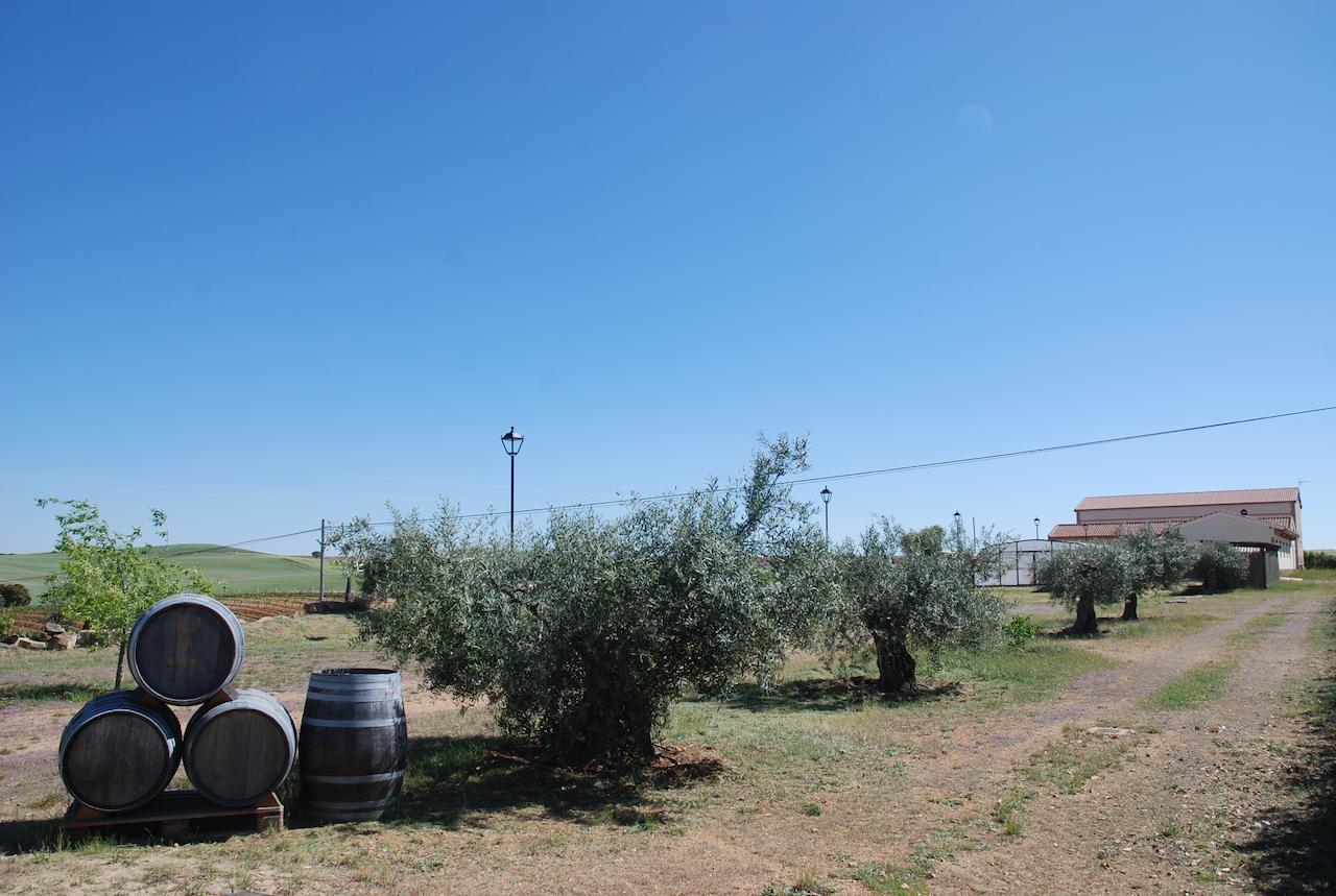 Casa Rural Teso De La Encina Villamor de los Escuderos エクステリア 写真