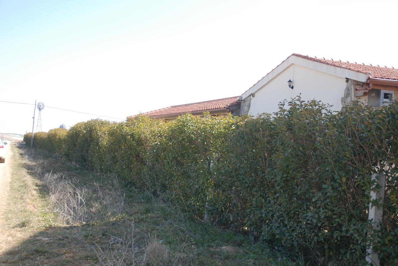 Casa Rural Teso De La Encina Villamor de los Escuderos エクステリア 写真