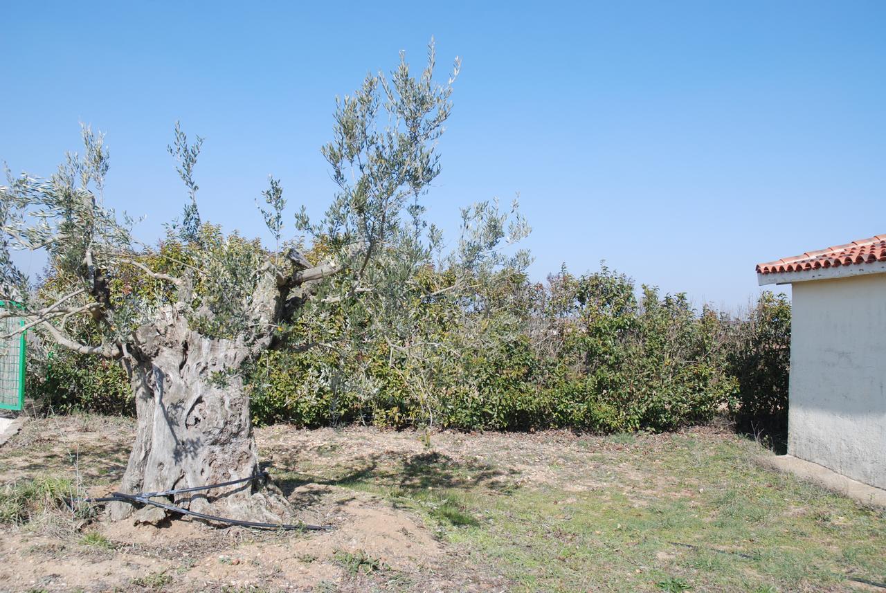 Casa Rural Teso De La Encina Villamor de los Escuderos エクステリア 写真