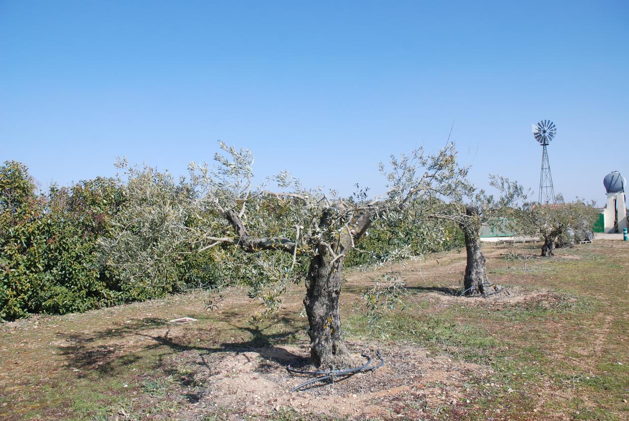 Casa Rural Teso De La Encina Villamor de los Escuderos エクステリア 写真