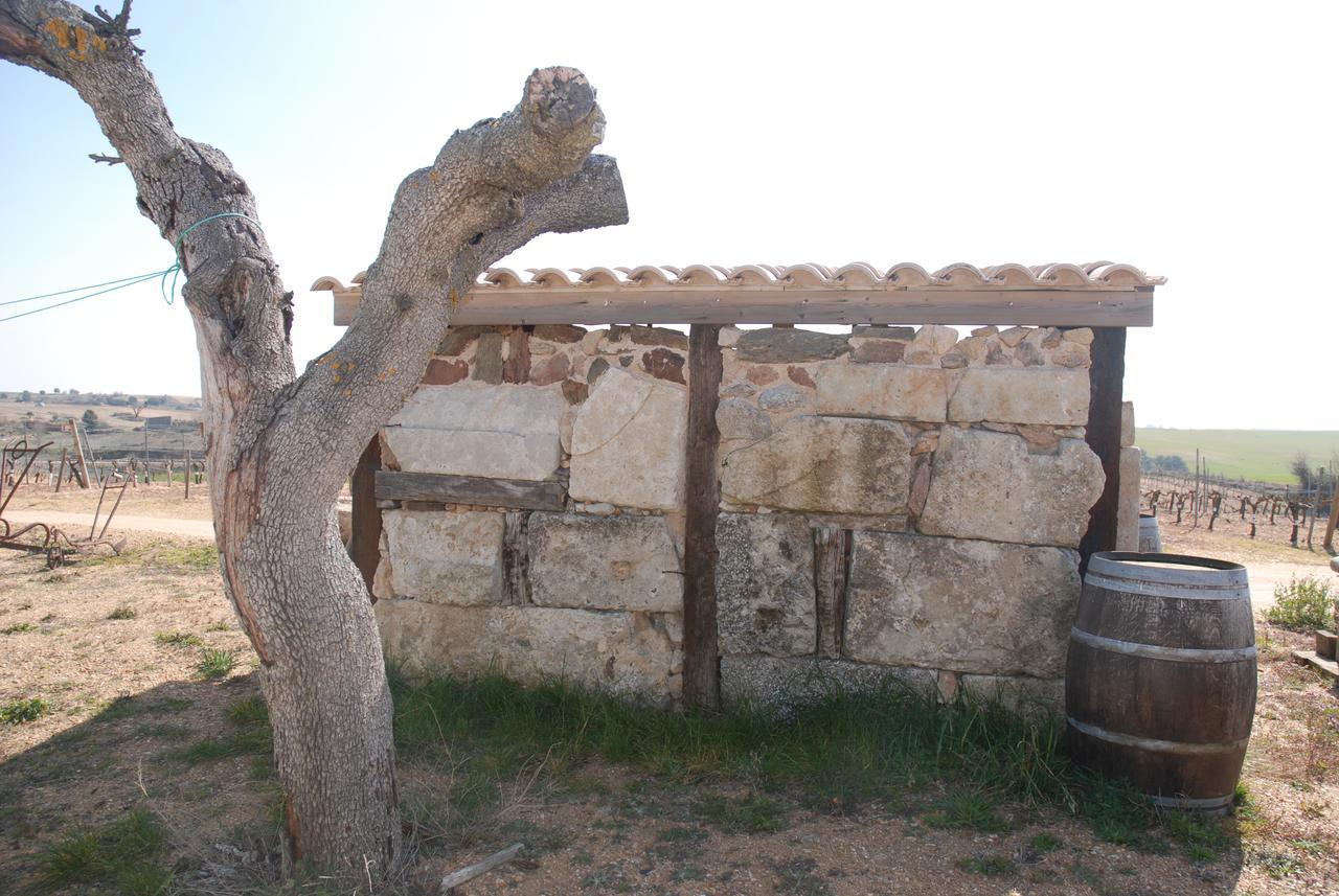 Casa Rural Teso De La Encina Villamor de los Escuderos エクステリア 写真