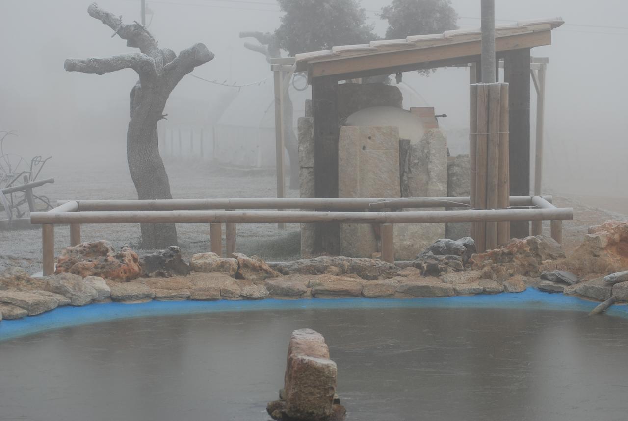 Casa Rural Teso De La Encina Villamor de los Escuderos エクステリア 写真